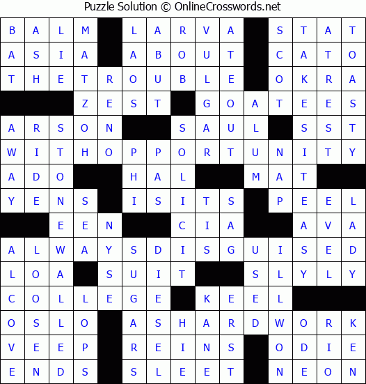 Solution for Crossword Puzzle #2538