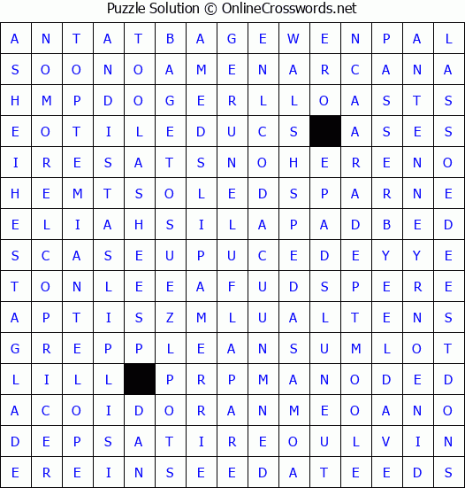 Solution for Crossword Puzzle #4343
